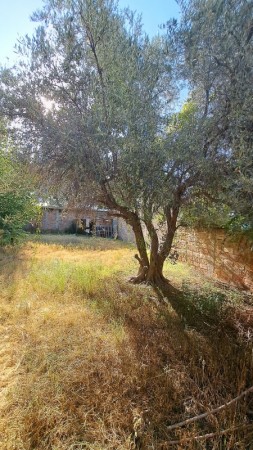 Vendo 3 locales, Galpon,  Garaje sobre Avenida Moreno con 427 m² terreno,  LOZA.  En San Rafael. 