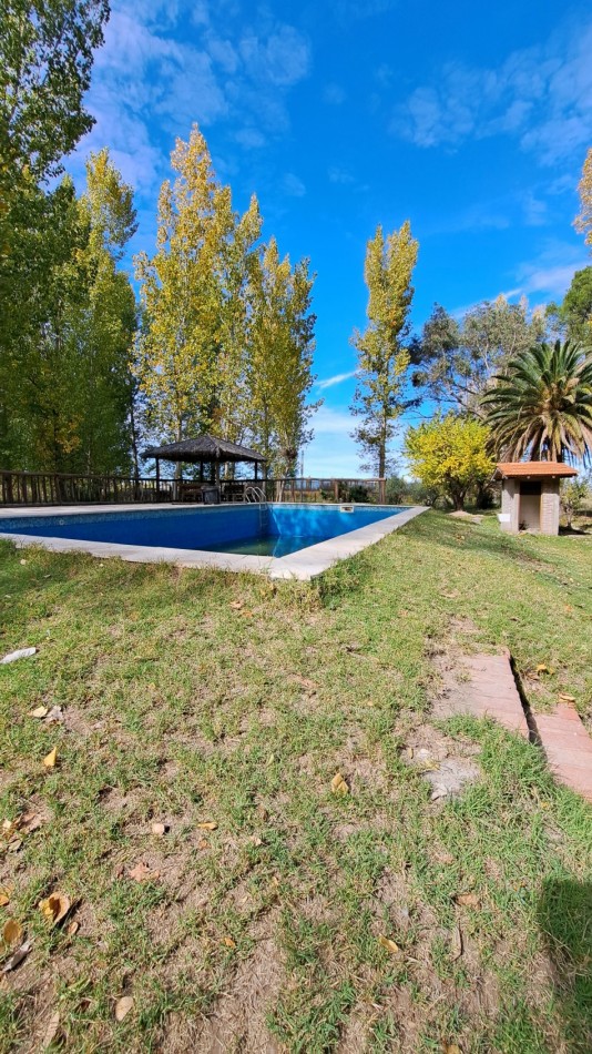 VENDO FINCA 42 has en San Rafael con Casa Patonal 4 dormitorios + Piscina + Galpones + prod de Ciruela distrito Salto de las Rosas