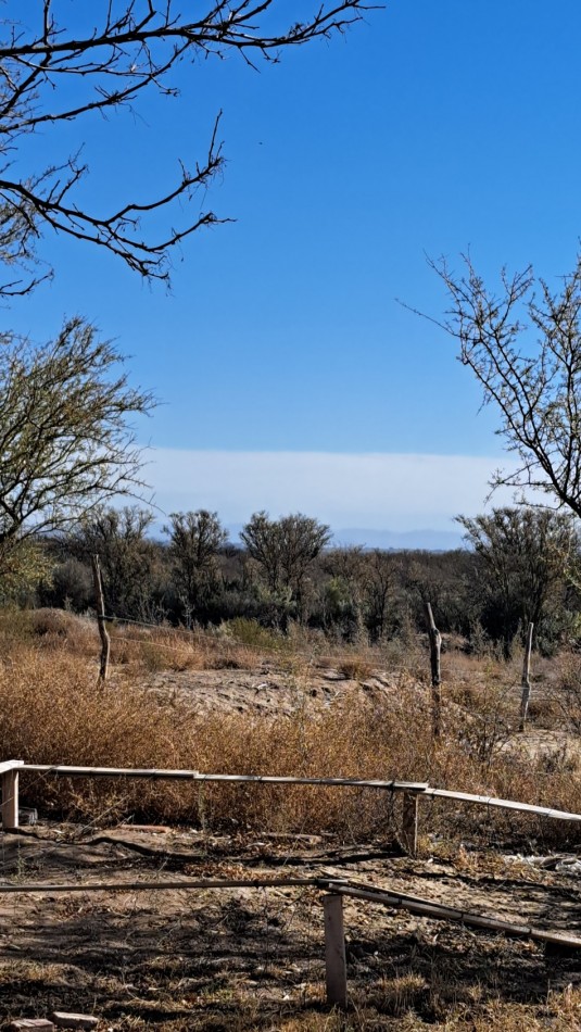Vendo Finca de 200 has en Alto Algarrobal 18 km aprox. con Casa de San Rafael