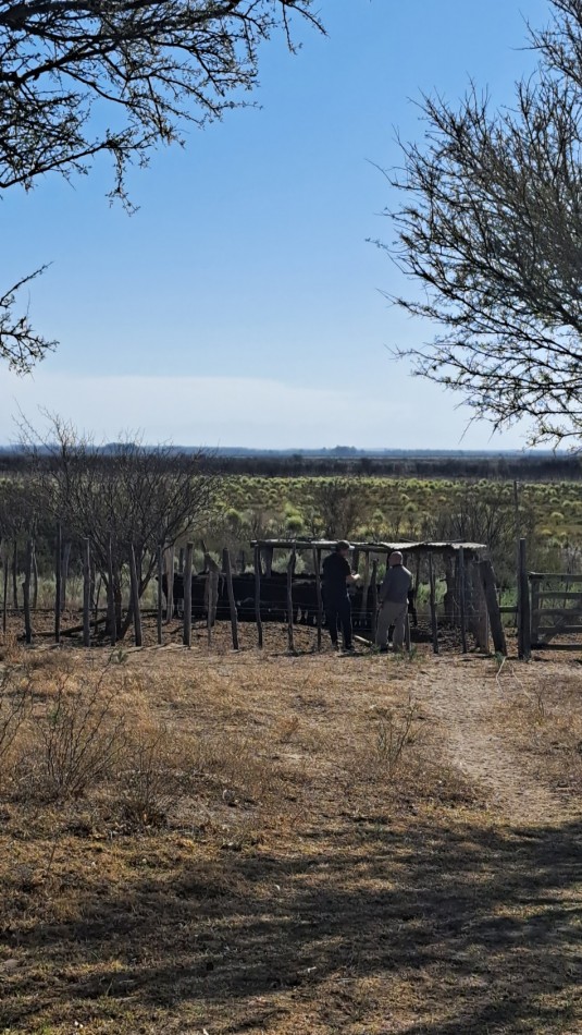 Vendo Finca de 200 has en Alto Algarrobal 18 km aprox. con Casa de San Rafael