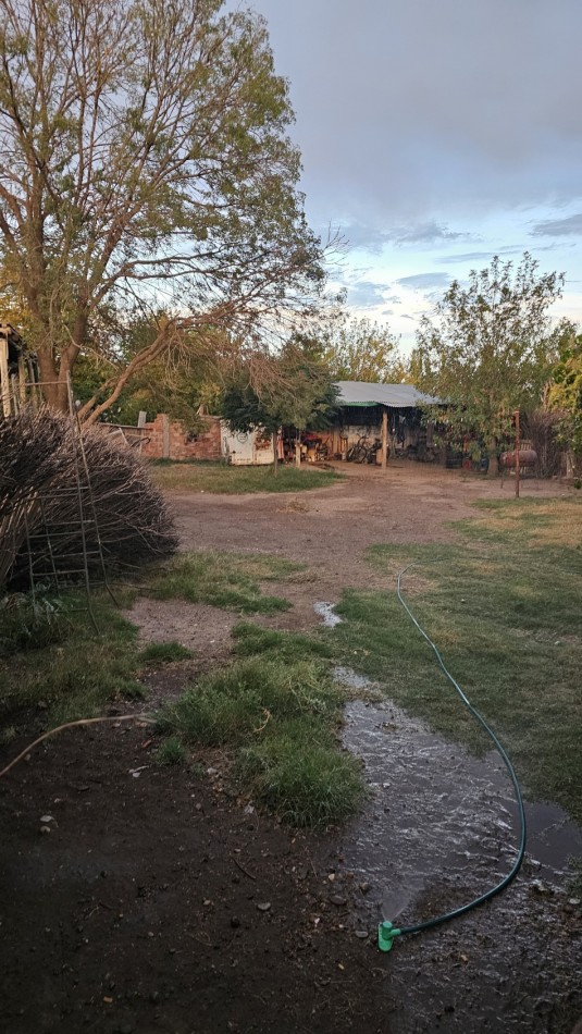 OPORTUNIDAD VENDO CASA + QUINCHO + TINGLADO 630 m² a 6 km de San Rafael. Zona a metros de Adolfo Calle.