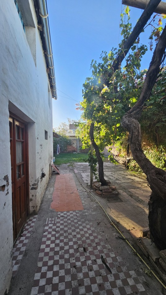 Vendo propiedad centrica Sobre Avenida Moreno y Rivadavia 400 m² Local y casaSan Rafael