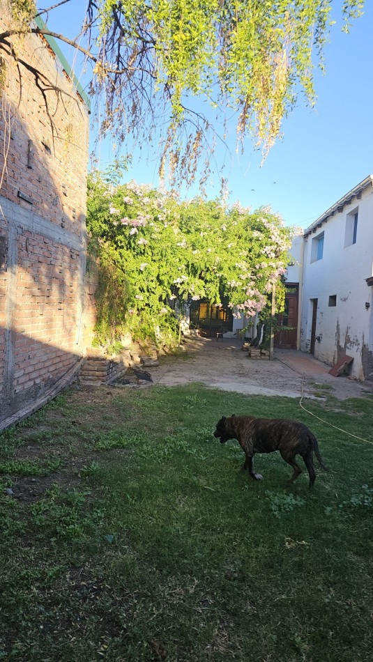 Vendo propiedad centrica Sobre Avenida Moreno y Rivadavia 400 m² Local y casaSan Rafael