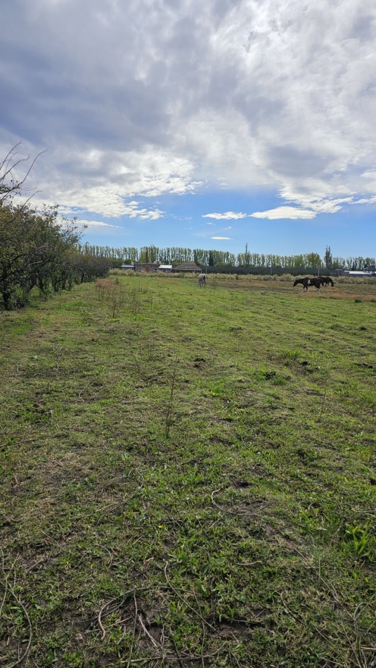 Vendo complejo trabajando de Casa + 3 cabañas en 2.48 hectareas. Rama Caida. San Rafael