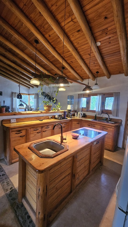 Vendo Casa Amplia con pileta y depto con 7200 m² parquizados en Cuadro Benegas San Rafael