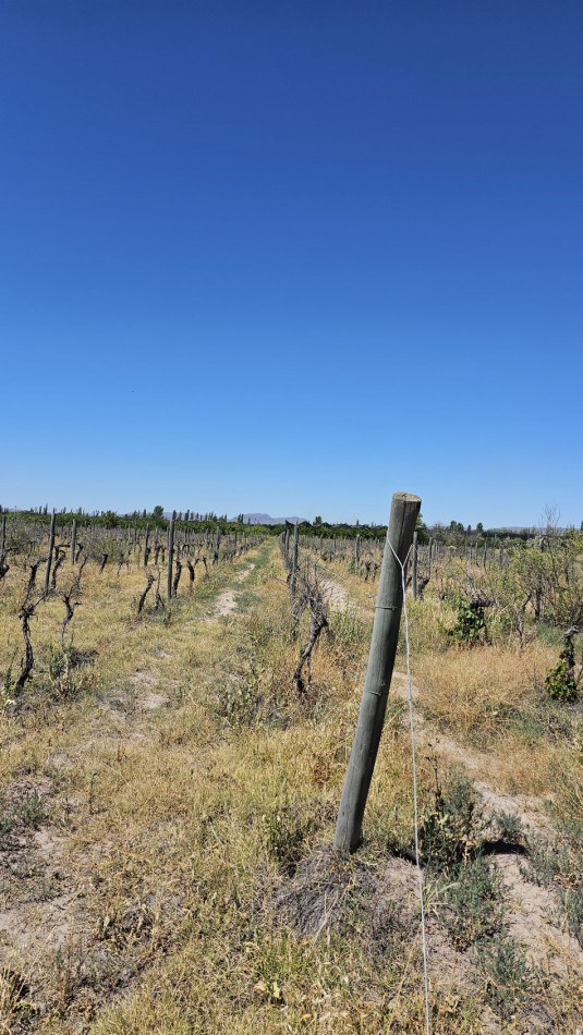 Vendo propiedad de 10.8 has con Bodega sobre Ruta 144 a menos de 4.5 km de San Rafael