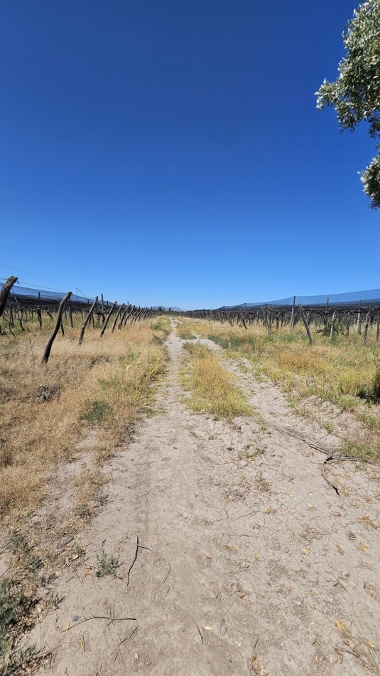 Vendo propiedad de 10.8 has con Bodega sobre Ruta 144 a menos de 4.5 km de San Rafael
