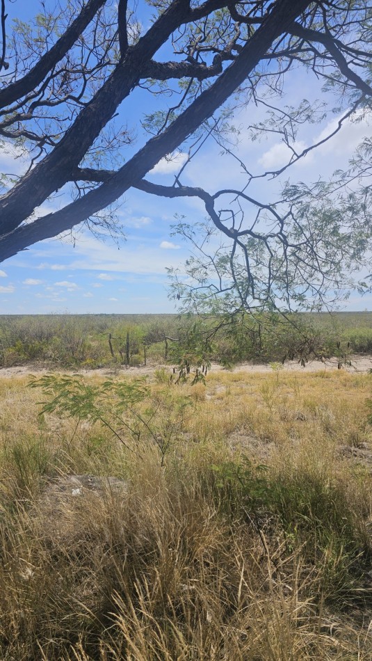 Oportunidad vendo Finca o campo de 66 has zona Turistica Ruta 150