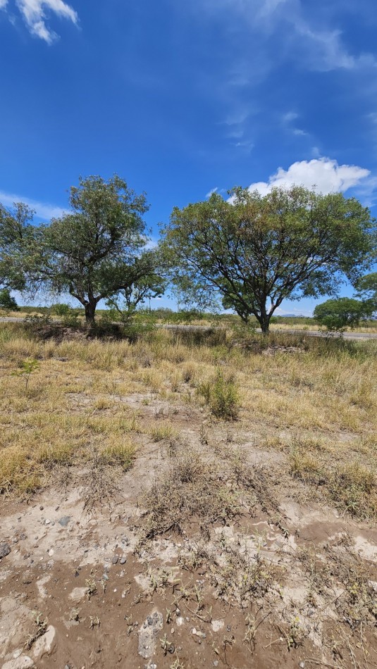 Oportunidad vendo Finca o campo de 66 has zona Turistica Ruta 150