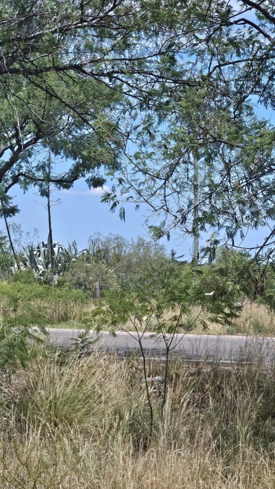 Oportunidad vendo Finca o campo de 66 has zona Turistica Ruta 150
