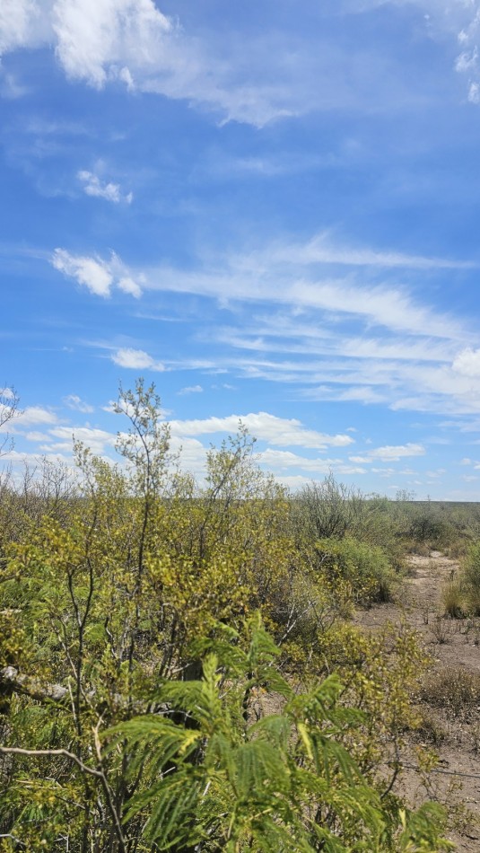 Oportunidad vendo Finca o campo de 66 has zona Turistica Ruta 150