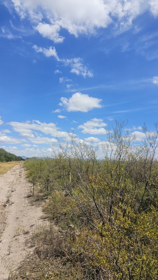 Oportunidad vendo Finca o campo de 66 has zona Turistica Ruta 150