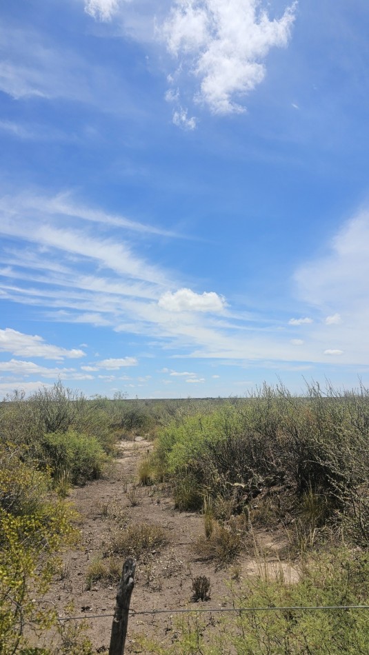 Oportunidad vendo Finca o campo de 66 has zona Turistica Ruta 150