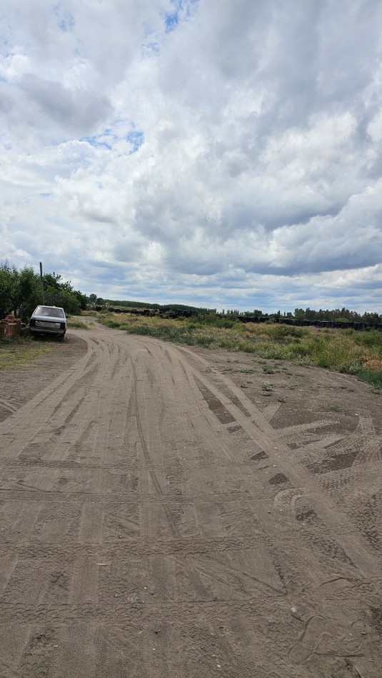 Lote en Venta sobre Av. Las Virgenes - 4.000 m² | Ubicacion Estrategica Se ofrece interesante lote ubicado sobre Av. Las Virgenes, en Las Paredes, San Rafael, Mendoza