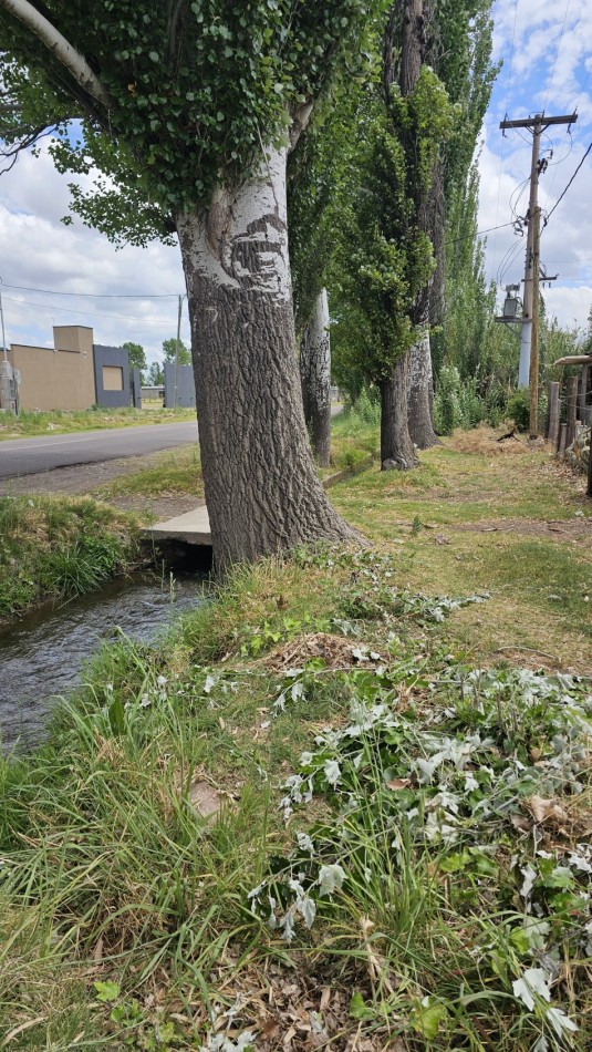 Lote en Venta sobre Av. Las Virgenes - 4.000 m² | Ubicacion Estrategica Se ofrece interesante lote ubicado sobre Av. Las Virgenes, en Las Paredes, San Rafael, Mendoza