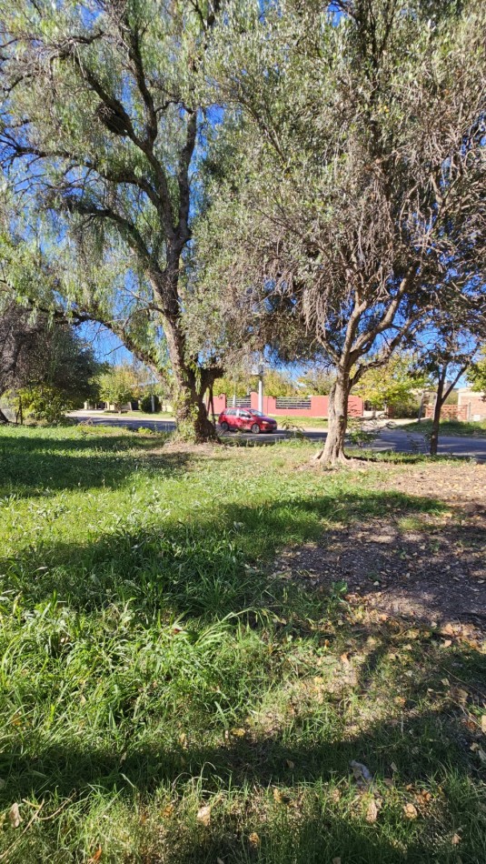 Vendo Lote 7400 m² con Avance pilastras, puente, pozo, olivos. Sonbre Ejercito de los Andes Rama Caida. Ejercito de los Andes. San Rafael. Mendoza 