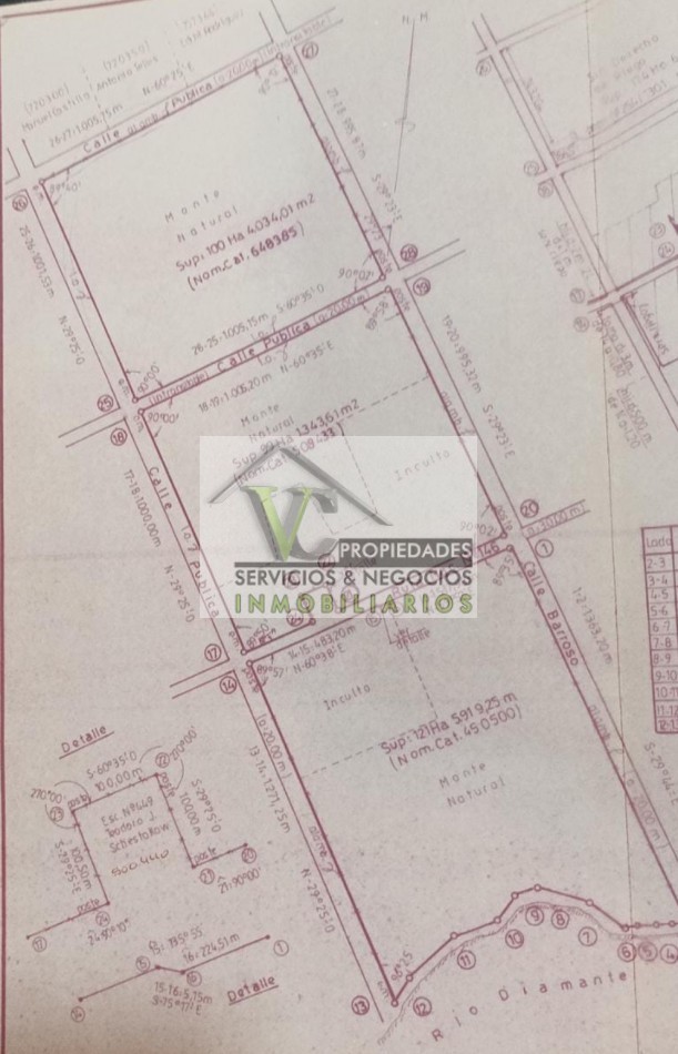 Vendo Finca de 200 has en Alto Algarrobal 18 km aprox. con Casa de San Rafael