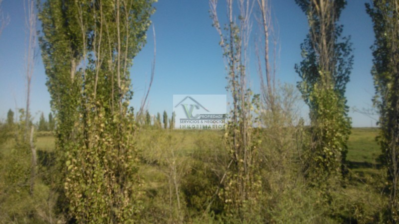 Lote o Terreno de 2000 m2 en la entrada de la ciudad de San Rafael, Alto las Paredes. con escritura