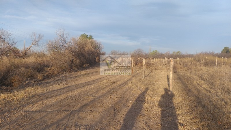 VENDO LOTE DE 1000 m² zona 2 Alamos. Y Alberdi. San Rafael