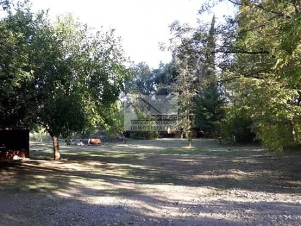 Vendo hermosa Finca zona Rama Caida de 5 hectáreas, en producción uva bonarda y mezcla con tela antigranizo. Vista Montaña