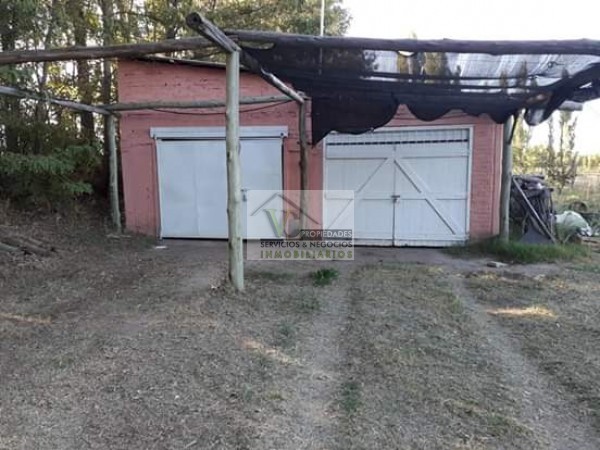 Vendo hermosa Finca zona Rama Caida de 5 hectáreas, en producción uva bonarda y mezcla con tela antigranizo. Vista Montaña