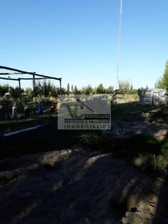Vendo hermosa Finca zona Rama Caida de 5 hectáreas, en producción uva bonarda y mezcla con tela antigranizo. Vista Montaña