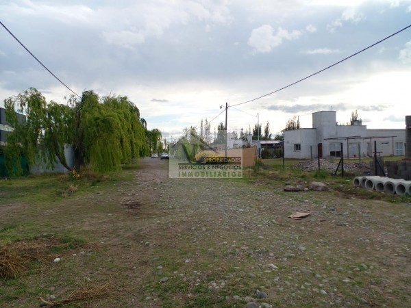 ♻️Vendo lote en las Paredes. 2000 m2. Zona Ortubia y Chañaral. ✅️Dimensión 2000 m2.