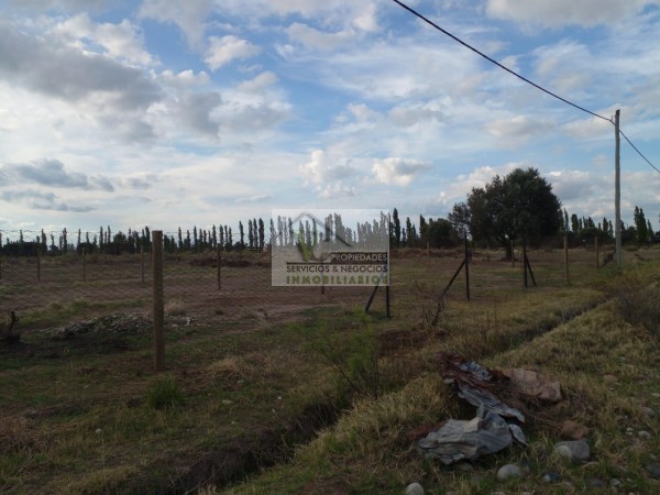 ♻️Vendo lote en las Paredes. 2000 m2. Zona Ortubia y Chañaral. ✅️Dimensión 2000 m2.