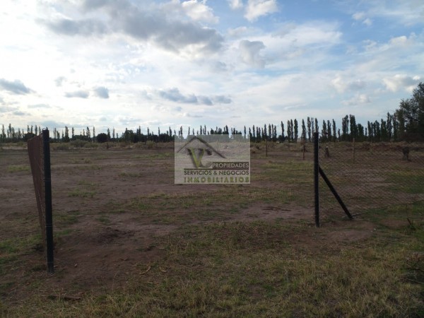 ♻️Vendo lote en las Paredes. 2000 m2. Zona Ortubia y Chañaral. ✅️Dimensión 2000 m2.