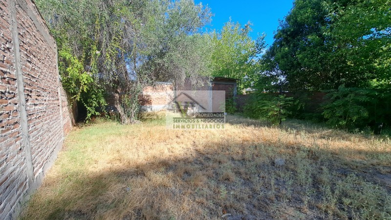Vendo 4 locales sobre Avenida Moreno, con 427 m² de terreno. LOZA. En San Rafael.