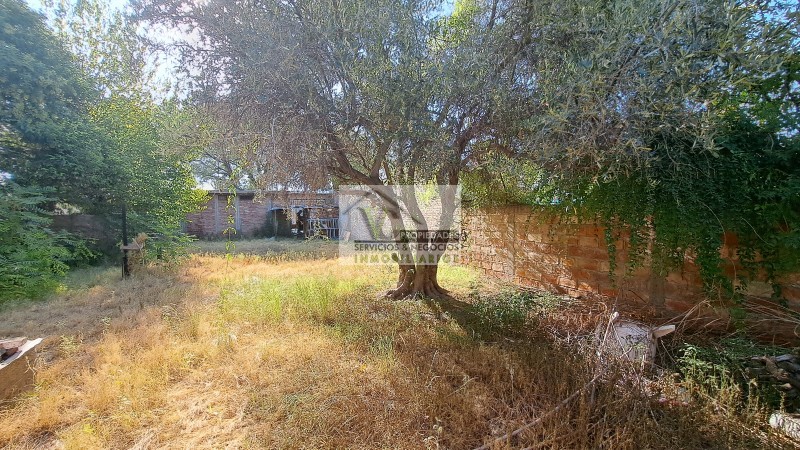 Vendo 4 locales sobre Avenida Moreno, con 427 m² de terreno. LOZA. En San Rafael.