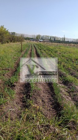 Oferta Vendo Complejo de Cabañas zona Rama Caida camino al Valle Grande, con 2.5 has
