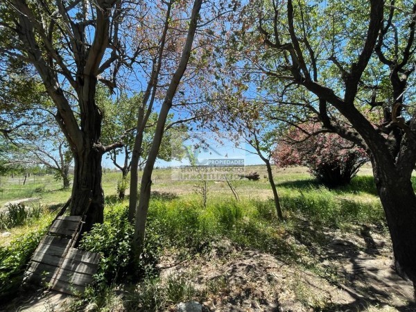 Vendo Finca con casa de 5 has 3000 m² en blanco a 7 km. San Rafael. Zona Cerrito
