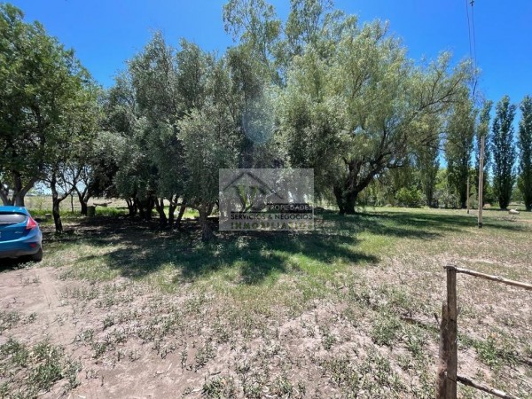 Vendo Finca con casa de 5 has 3000 m² en blanco a 7 km. San Rafael. Zona Cerrito