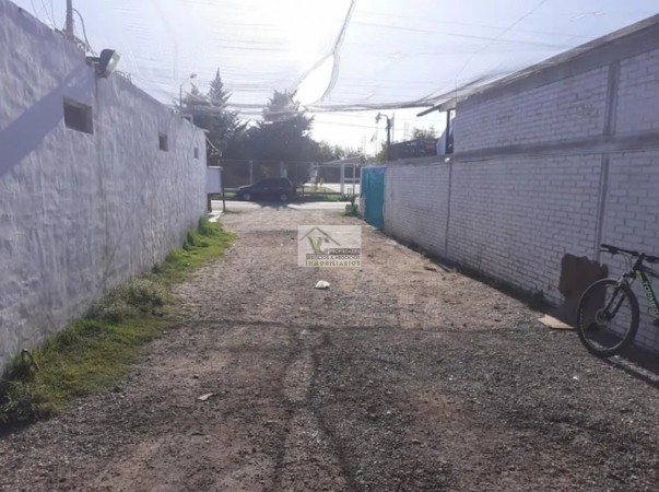 Vendo o permuto propiedad Grande (Casa+ Local+ Galpon) Zona Alberdi. SAN RAFAEL MENDOZA