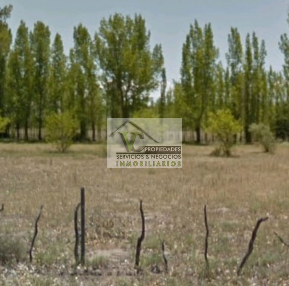 Vendo Finca de 200 has en Alto Algarrobal 18 km aprox. con Casa de San Rafael