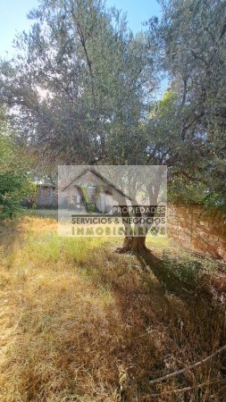 Vendo 4 locales sobre Avenida Moreno, con 427 m² de terreno. LOZA. En San Rafael.