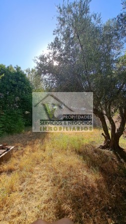 Vendo 4 locales sobre Avenida Moreno, con 427 m² de terreno. LOZA. En San Rafael.