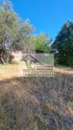 Vendo 4 locales sobre Avenida Moreno, con 427 m² de terreno. LOZA. En San Rafael.
