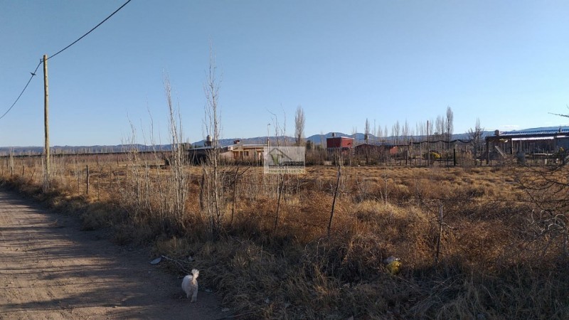 OFERTA - VENDO Lote en Rama Caida en zona Calle Gutierrez y cercano al barrio. San Rafael.