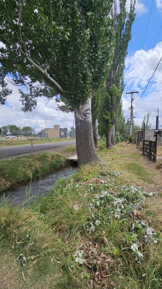 Lote en Venta sobre Av. Las Virgenes - 4.000 m² U$S 65.000 permuto. Ubicacion Estrategica Se ofrece interesante lote ubicado sobre Av. Las Virgenes, en Las Paredes, San Rafael, Mendoza