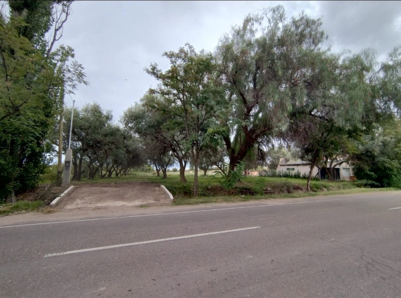 Vendo Lote 7400 m² con Avance pilastras con luz, puente, pozo, olivos. Sobre Ejercito de los Andes Rama Caida. Ejercito de los Andes. San Rafael. Mendoza 