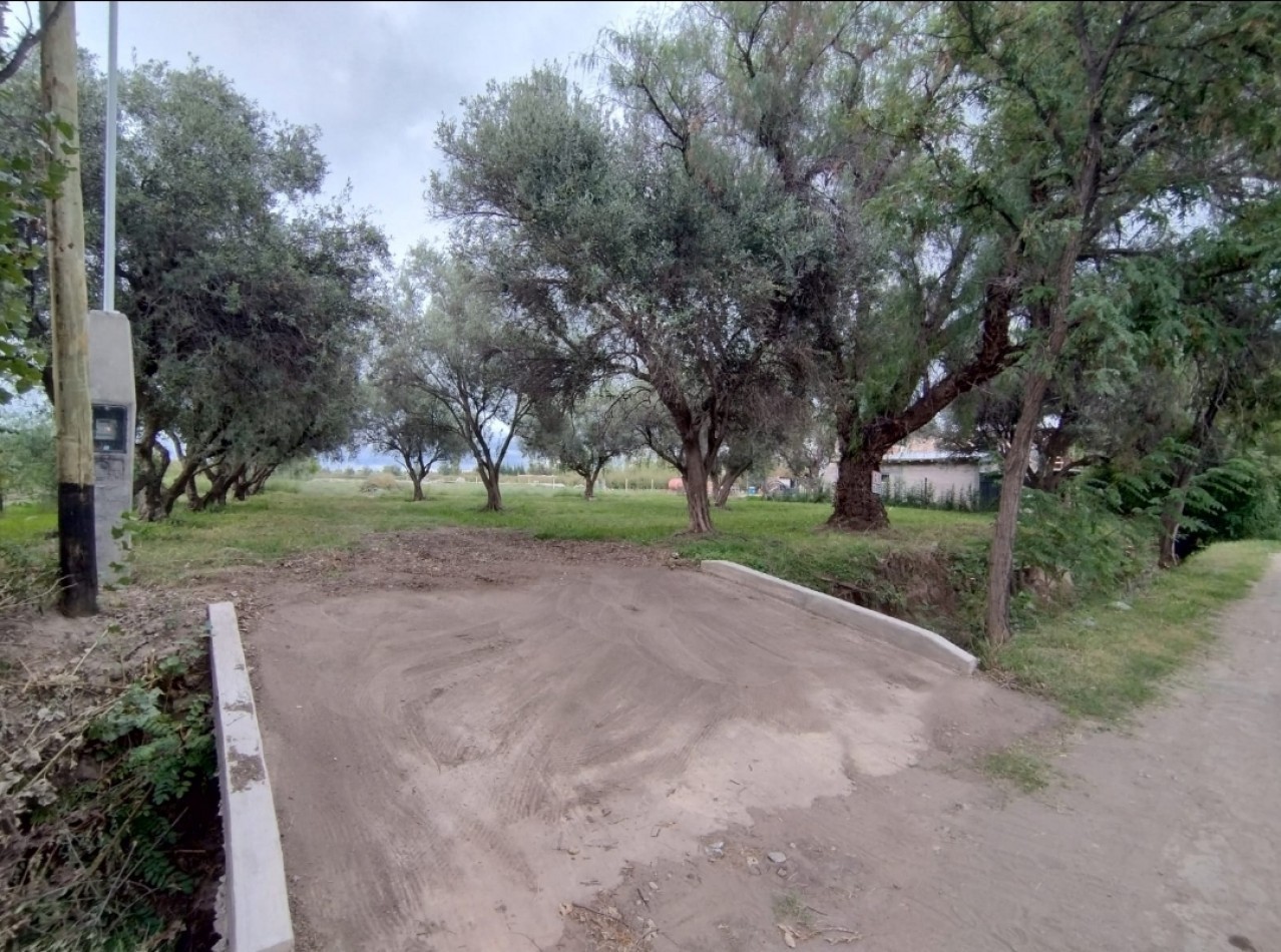 Vendo Lote 7400 m² con Avance pilastras con luz, puente, pozo, olivos. Sobre Ejercito de los Andes Rama Caida. Ejercito de los Andes. San Rafael. Mendoza 