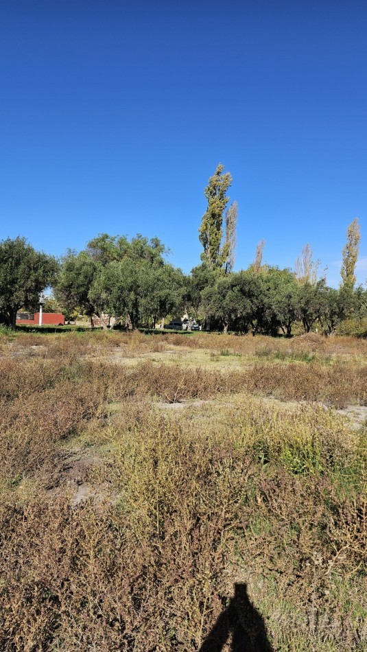 Vendo Lote 7400 m² con Avance pilastras con luz, puente, pozo, olivos. Sobre Ejercito de los Andes Rama Caida. Ejercito de los Andes. San Rafael. Mendoza 