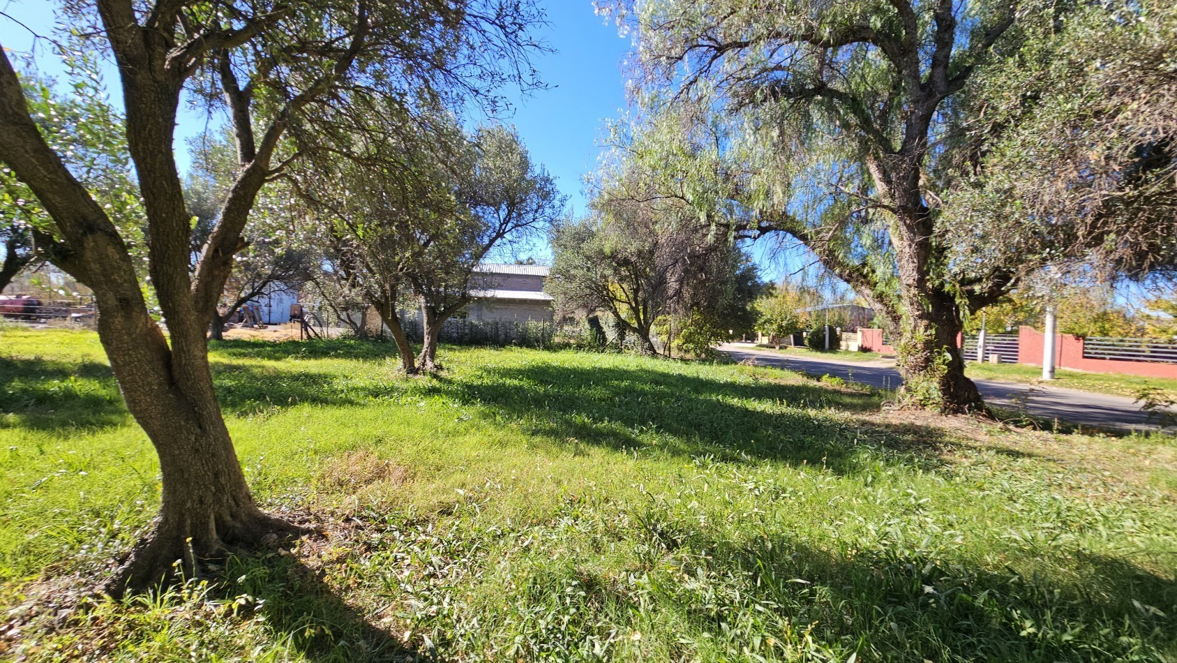Vendo Lote 7400 m² con Avance pilastras con luz, puente, pozo, olivos. Sobre Ejercito de los Andes Rama Caida. Ejercito de los Andes. San Rafael. Mendoza 