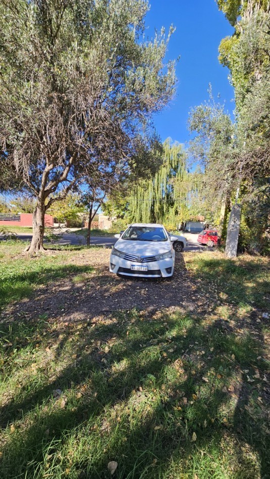 Vendo Lote 7400 m² con Avance pilastras con luz, puente, pozo, olivos. Sobre Ejercito de los Andes Rama Caida. Ejercito de los Andes. San Rafael. Mendoza 