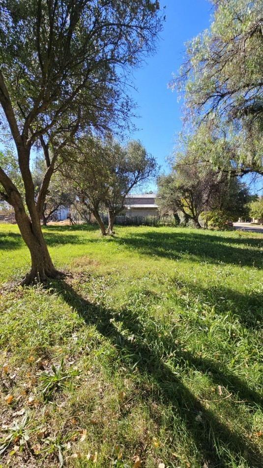 Vendo Lote 7400 m² con Avance pilastras con luz, puente, pozo, olivos. Sobre Ejercito de los Andes Rama Caida. Ejercito de los Andes. San Rafael. Mendoza 