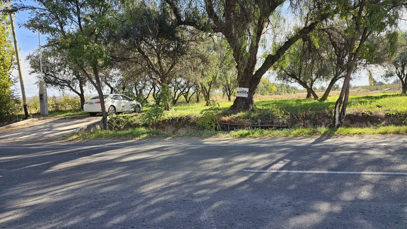 Vendo Lote 7400 m² con Avance pilastras con luz, puente, pozo, olivos. Sobre Ejercito de los Andes Rama Caida. Ejercito de los Andes. San Rafael. Mendoza 