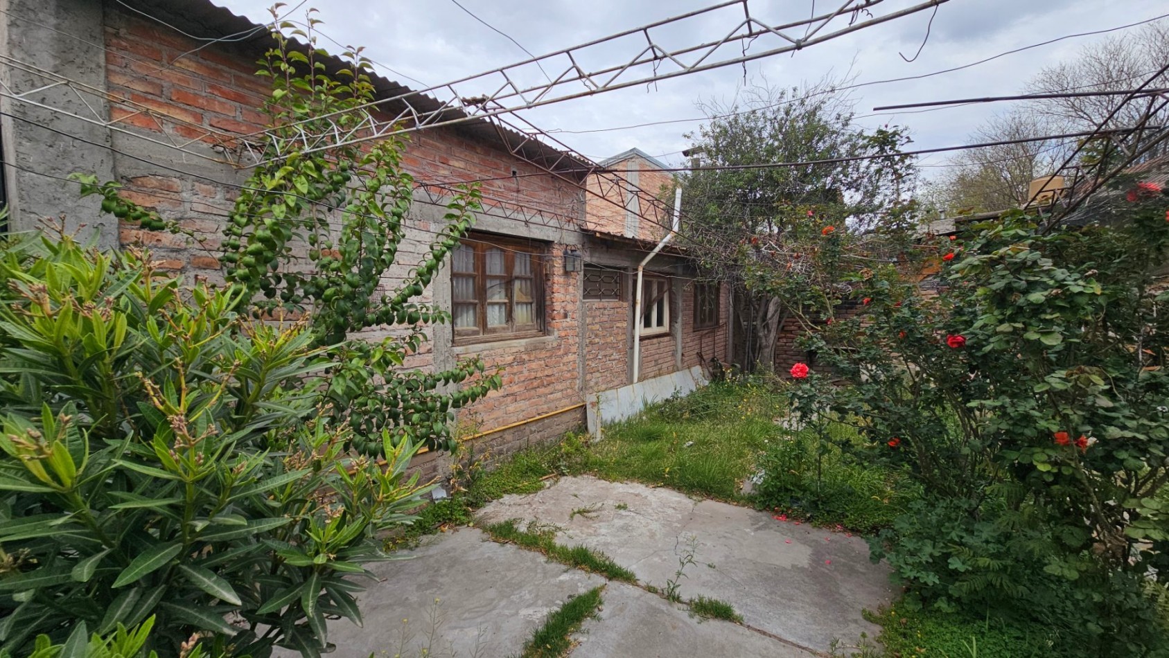 Local, Casa, Depto+ patio. 436 m² por Mitre. San Rafael