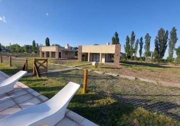 Vendo o Permuta Complejo de Cabañas 5 has con 5 cabañas y 3.5 has de parral con tela. Las Paredes, San Rafael, Mendoza 